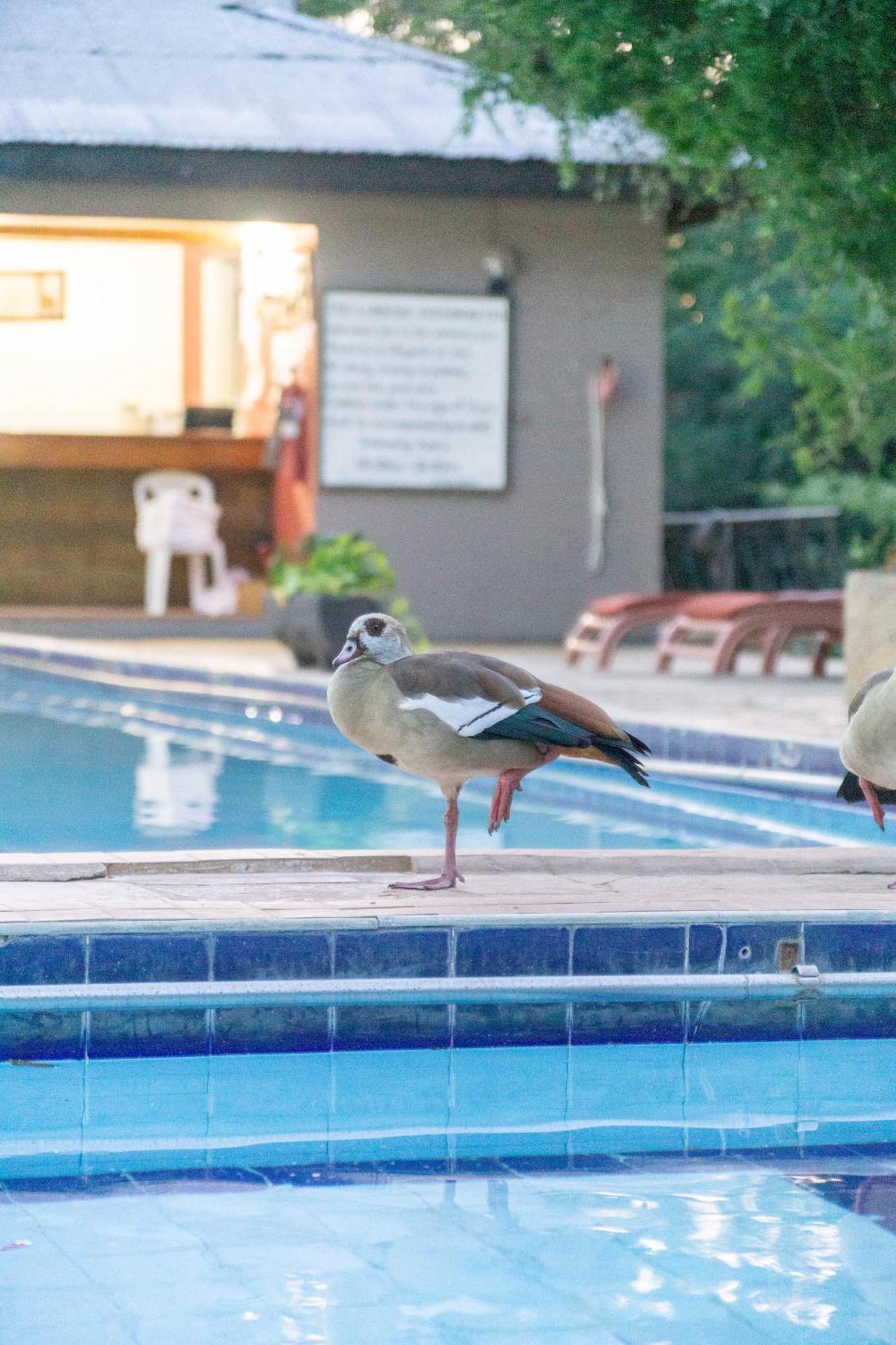 Lukenya Getaway Hotel Athi River Exterior foto